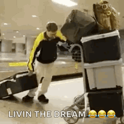 Packing Bags Livin The Dream GIF