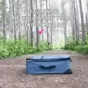 Packing Dog Inside The Luggage GIF