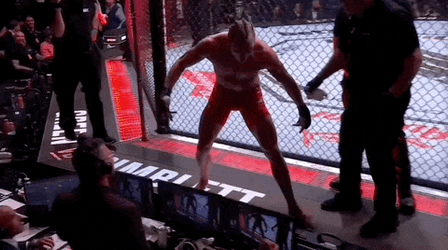Paddy The Baddy High Five To The Crew GIF
