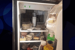 Paid In Full Bunch Of Dollars GIF