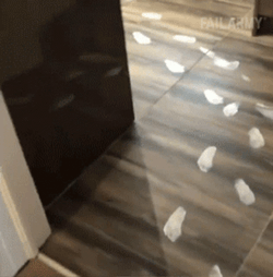 Paint Splatter White Footprints Floor GIF