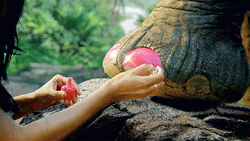 Painting Elephant Nail  GIF