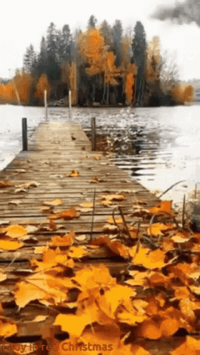 Painting Of A Dock With Leaves On Ground GIF