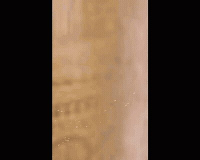 Painting Of Woman With Melukri Lanamelk GIF