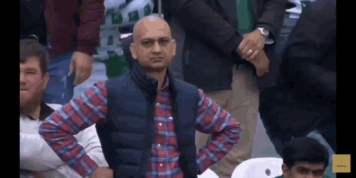 Pakistan Cricket Fan Pakistan Fan GIF