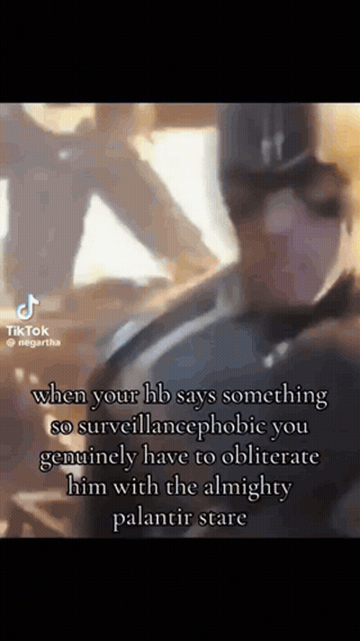 Palantir Israel GIF