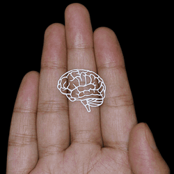 Palm Sharp Brain Illustration