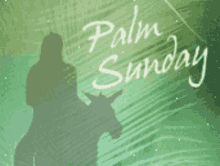Palm Sunday Jesus Shadow Visual Art