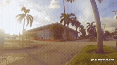 Palm Tree In Front Of Building Saying City Of Phia Leah GIF