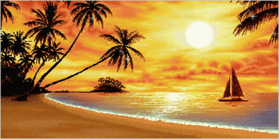 Palm Tree On Beach With Acbka GIF