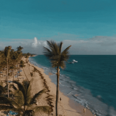 Palm Tree On Beach With Wreath GIF
