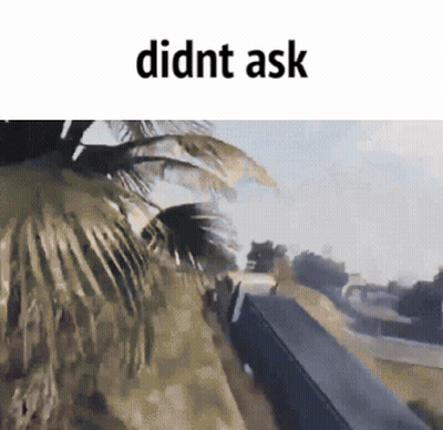 Palm Tree Saying Didnt Ask