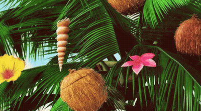 Palm Tree With Coconuts Shells And Flowers GIF