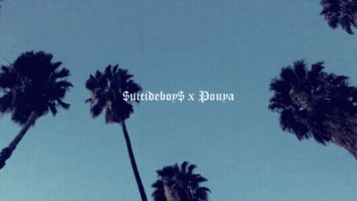 Palm Trees Against A Blue Sky With The Words Suicideboys X Poupa Below Them GIF