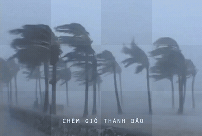 Palm Trees Blowing In The Wind GIF