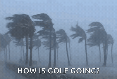 Palm Trees Blowing In Wind How Is Golf Going GIF