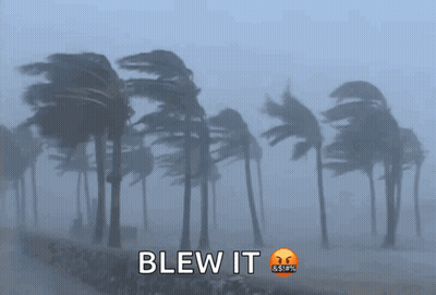Palm Trees Blowing In Wind Saying Blew It GIF