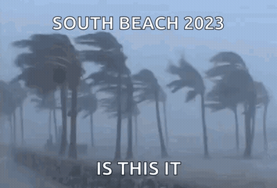 Palm Trees Blowing South Beach 2023 Is This It GIF