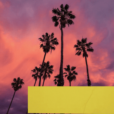Palm Trees Silhouetted Against A Pink And Purple Cloudy Sky GIF