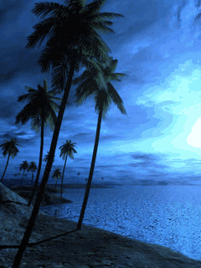 Palm Trees Silhouetted Blue Sky Ocean GIF