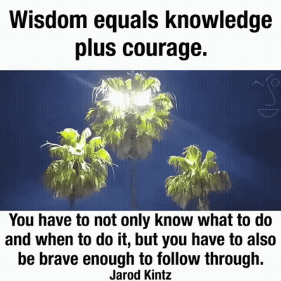 Palm Trees With Jarod Kintz Quote GIF