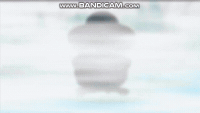 Palpitoad Pokemon Palpitoad GIF