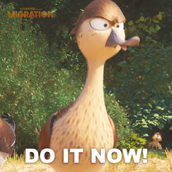 Pam Mallard Migration Do It Now GIF