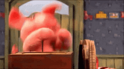 Pancha Puppet Pig Playing Peek A Boo  GIF
