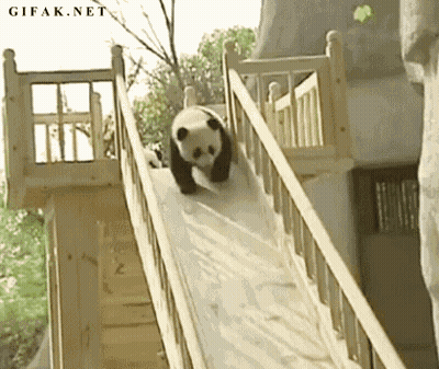 Panda Bear Going Down Wooden Slide GIF