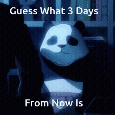 Panda Bear Guess What 3 Days From Now GIF