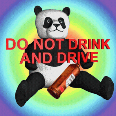 Panda Bear Holding Bottle Saying Do Not Drink And Drive GIF