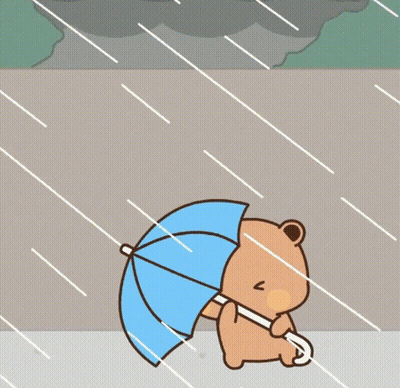 Panda Bear Holding Umbrella With Blue Umbrella Bear GIF