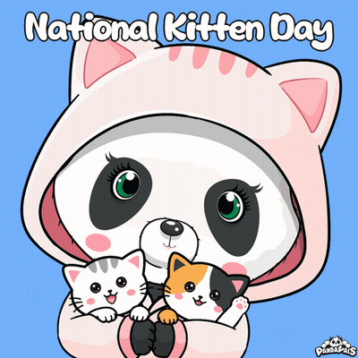 Panda Bear In Black Hat Holding Black Cat GIF