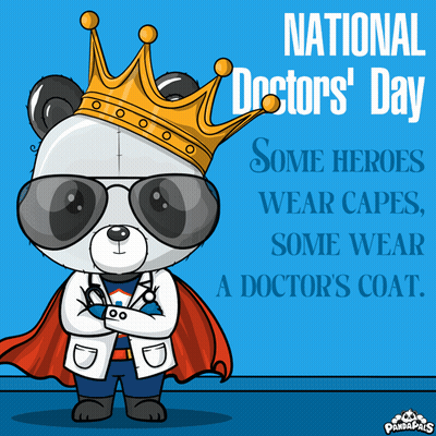 Panda Bear In Cape And Crown For National Doctor's Day GIF
