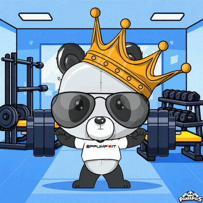 Panda Bear In Sunglasses And Crown Holding Barbell GIF