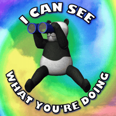 Panda Bear Looking Through Binoculars I Can See What You're Doing GIF