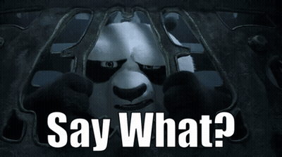 Panda Bear Saying What GIF
