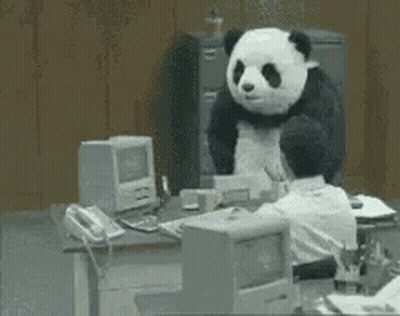 Panda Bear Sitting At Desk With Computer GIF