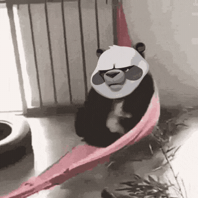 Panda Bear Sitting In Hammock With Pink Blanket GIF