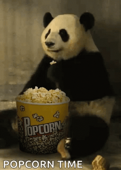 Panda Bear Sitting Next To Popcorn Bucket GIF