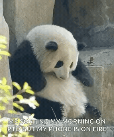 Panda Bear Sitting On Rock Saying Me Sorting My Morning On PTO But My Phone Is On Fire GIF