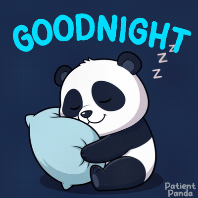 Panda Bear Sleeping on Pillow Goodnight