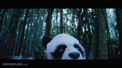Panda Bear Standing In Bamboo Forest Looking At Camera GIF