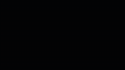 Panda Bear Waving At Camera GIF