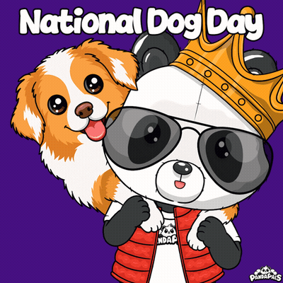 Panda Bear Wearing Sunglasses Crown Holding Small Dog GIF