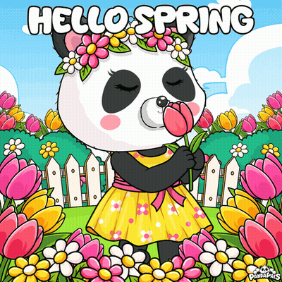 Panda Bear With Flower Crown Holding Flower Hello Spring GIF