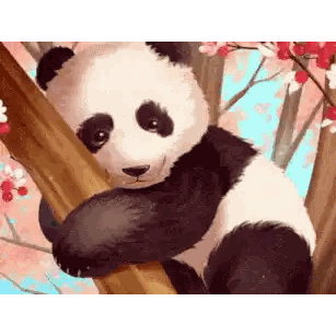 Panda Buongiorno Gif Sticker