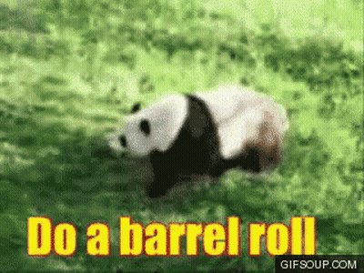 Panda Crawling In Grass Saying Do A Barrel Roll GIF