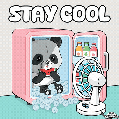 Panda Eating Watermelon In Fridge Stay Cool GIF