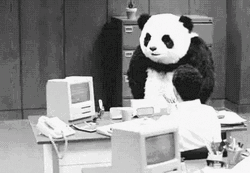 Panda Go Wild And Break Computer GIF